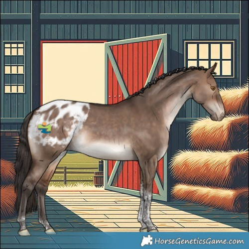 Horse Color:Brown Dun Tobiano Appaloosa Rabicano 