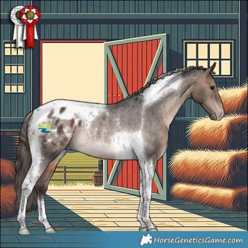 Horse Color:Brown Tobiano Appaloosa Rabicano 