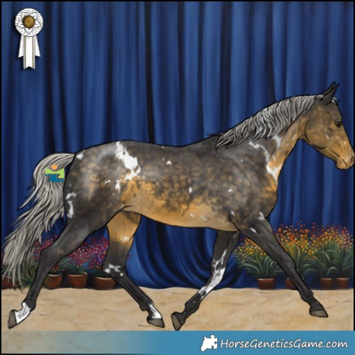 Horse Color:White Spotted Silver Buckskin Varnish 