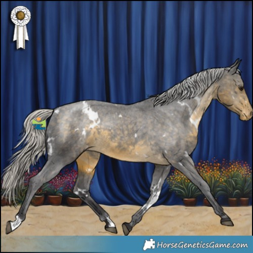 Horse Color:White Spotted Silver Buckskin Appaloosa 