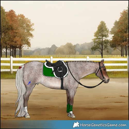 Horse Color:Silver Brown Roan Tobiano 