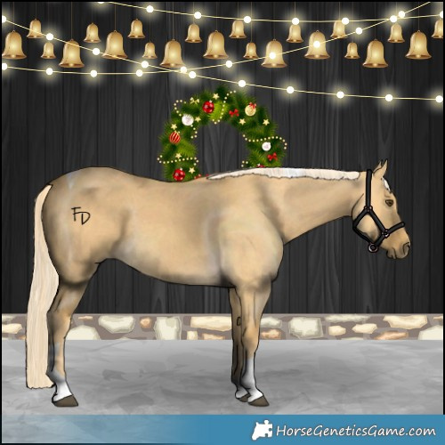 Horse Color:Palomino Dun Tobiano 