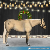 Horse Color:Palomino Dun Tobiano 