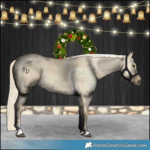 Horse Color:Palomino Dun Tobiano 