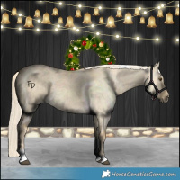 Horse Color:Palomino Dun Tobiano 