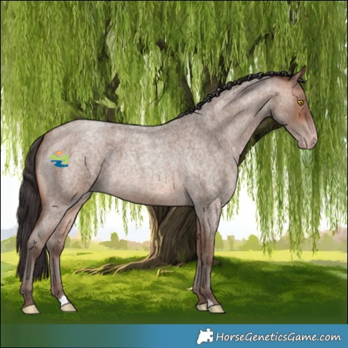 Horse Color:Sable Champagne Roan 