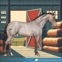 Horse Color:Sable Champagne Roan 