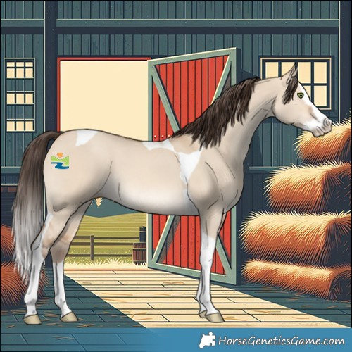 Horse Color:Amber Champagne Dun Splash Tobiano 