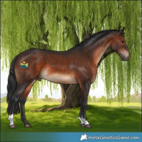 Horse Color:Brown Tobiano 