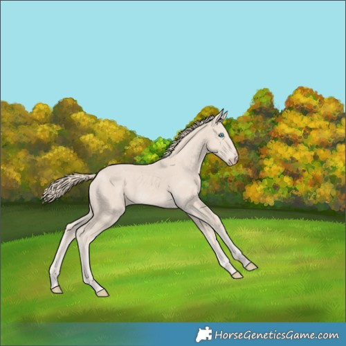 Horse Color:Smoky Creme 