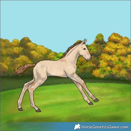 Horse Color:Red Dun 