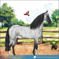 Horse Color:Blue Roan 