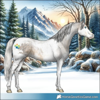 Horse Color:Silver Smoky Black Splash Tobiano 
