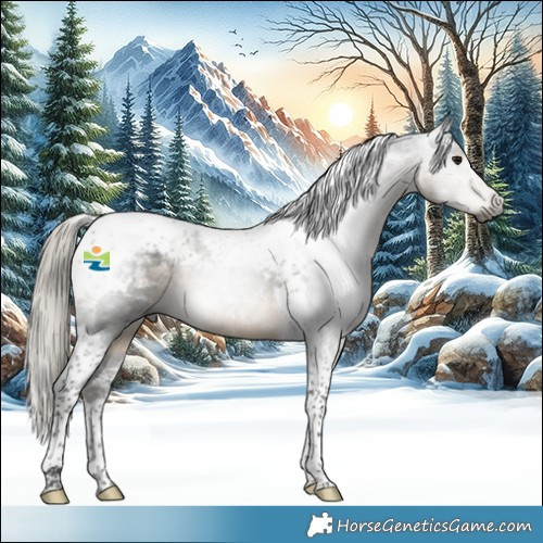 Horse Color:Gray Silver Smoky Black Tobiano 
