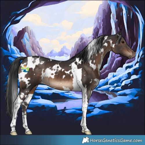Horse Color:White Spotted Brown Tobiano 