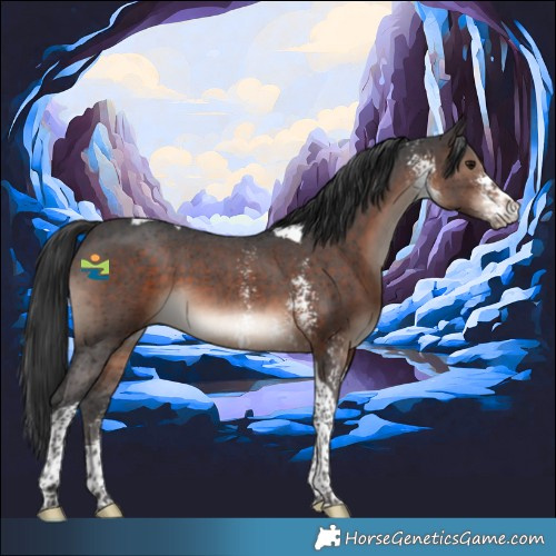 Horse Color:Brown Sabino Tobiano 