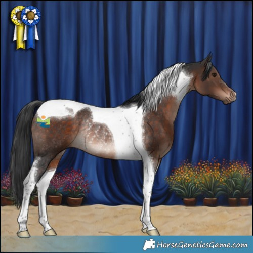 Horse Color:Brown Tobiano Rabicano