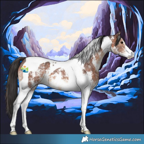 Horse Color:Brown Sabino Tobiano 