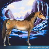 Horse Color:Buckskin Tobiano 