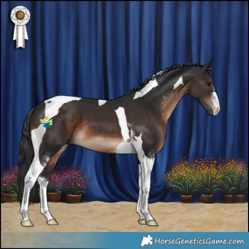 Horse Color:Brown Sabino Tobiano 