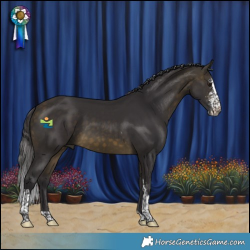 Horse Color:Buckskin Sabino Tobiano 
