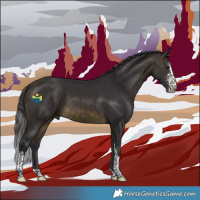 Horse Color:Buckskin Sabino Tobiano 