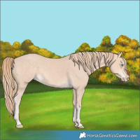 Horse Color:Perlino 
