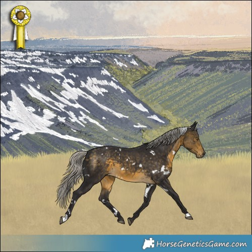 Horse Color:White Spotted Silver Buckskin 