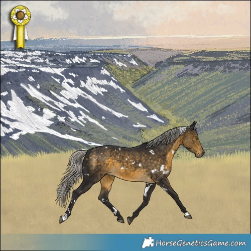 Horse Color:White Spotted Silver Buckskin 