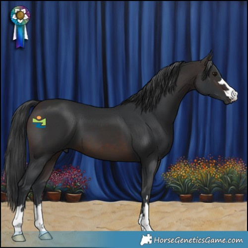 Horse Color:Brown 