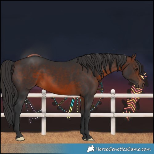 Horse Color:Brown 