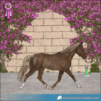 Horse Color:Chocolate Palomino Rabicano