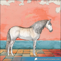 Horse Color:Gray Chocolate Palomino Snowdrop Onyx Brindle 