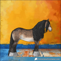 Horse Color:Brown Dun 