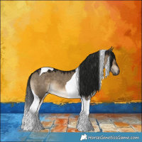 Horse Color:Gray Brown Dun Tobiano