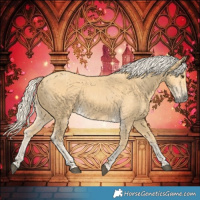 Horse Color:Palomino 