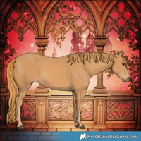 Horse Color:Chestnut Rabicano 