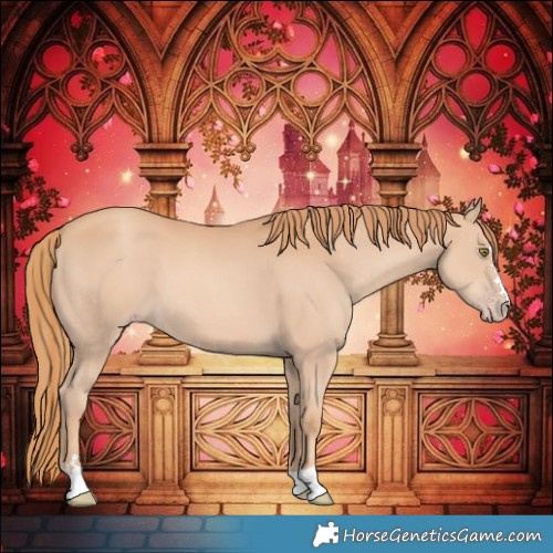 Horse Color:Gold Champagne 
