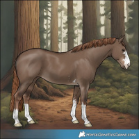 Horse Color:Liver Red Dun
