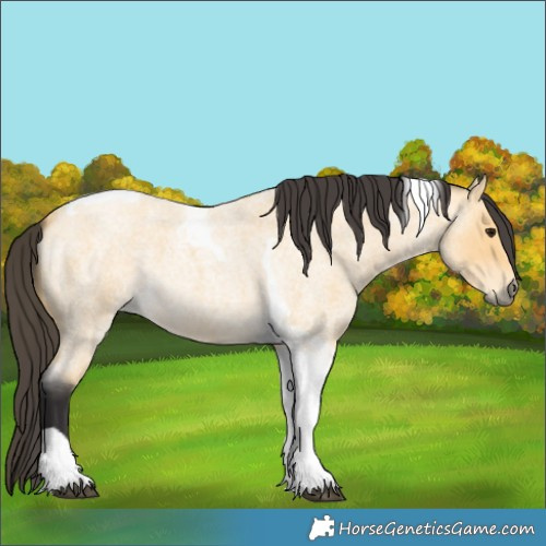 Horse Color:Buckskin Roan Tobiano