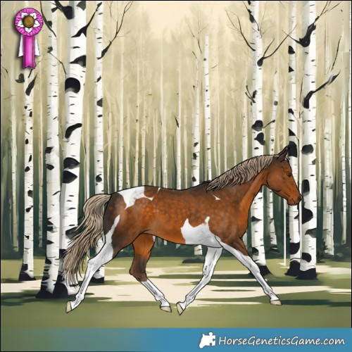 Horse Color:Chocolate Palomino Tobiano 