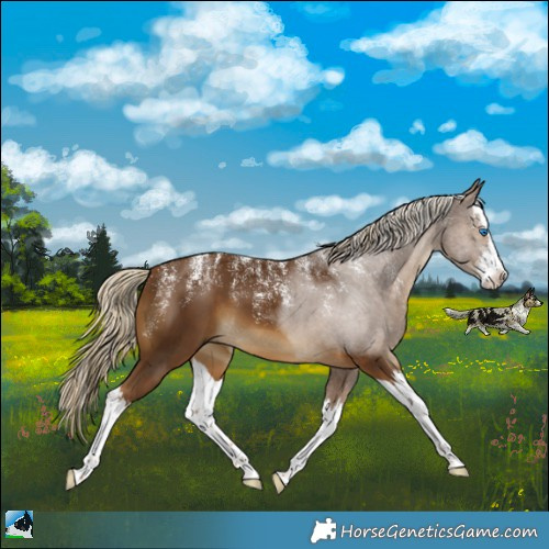 Horse Color:Powder White White Spotted Chocolate Palomino Splash 