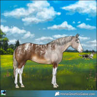 Horse Color:Powder White White Spotted Chocolate Palomino Splash 