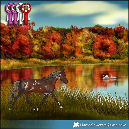 Horse Color:White Spotted Liver Chestnut 