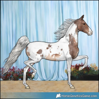 Horse Color:White Spotted Silver Brown Tobiano Varnish 