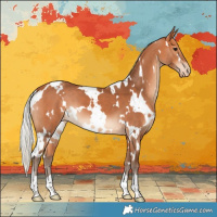 Horse Color:White Spotted Silver Bay Varnish 
