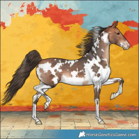 Horse Color:White Spotted Bay Varnish 