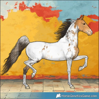 Horse Color:White Spotted Buckskin Tobiano Blanket 