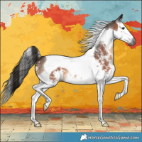 Horse Color:Gray Bay Sabino Splash Tobiano 