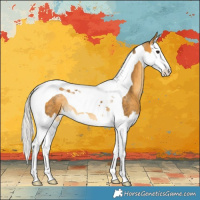 Horse Color:Silver Buckskin Splash Tobiano 